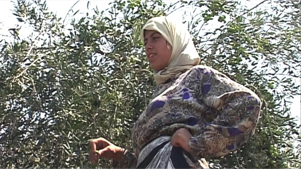Route 181, fragments d’un voyage en Palestine-Israël, 1. Sud