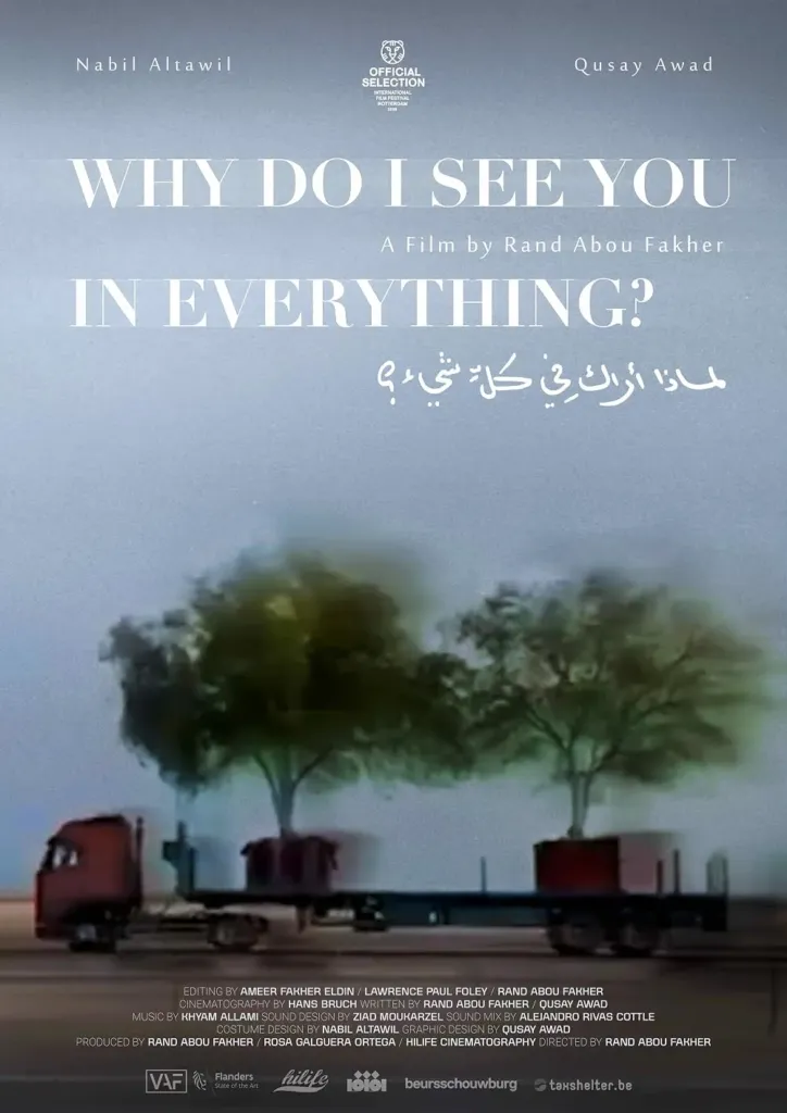 Affiche de Why Do I See You in Everything?